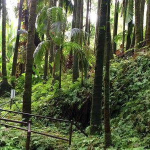 Meet your Posher, Carlos